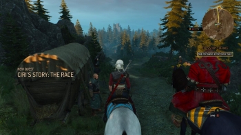 The Witcher 3 Screenshot